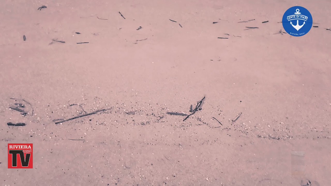 Gente di Mare | 2° puntata | La storia di Filippo Palestini (prima parte)