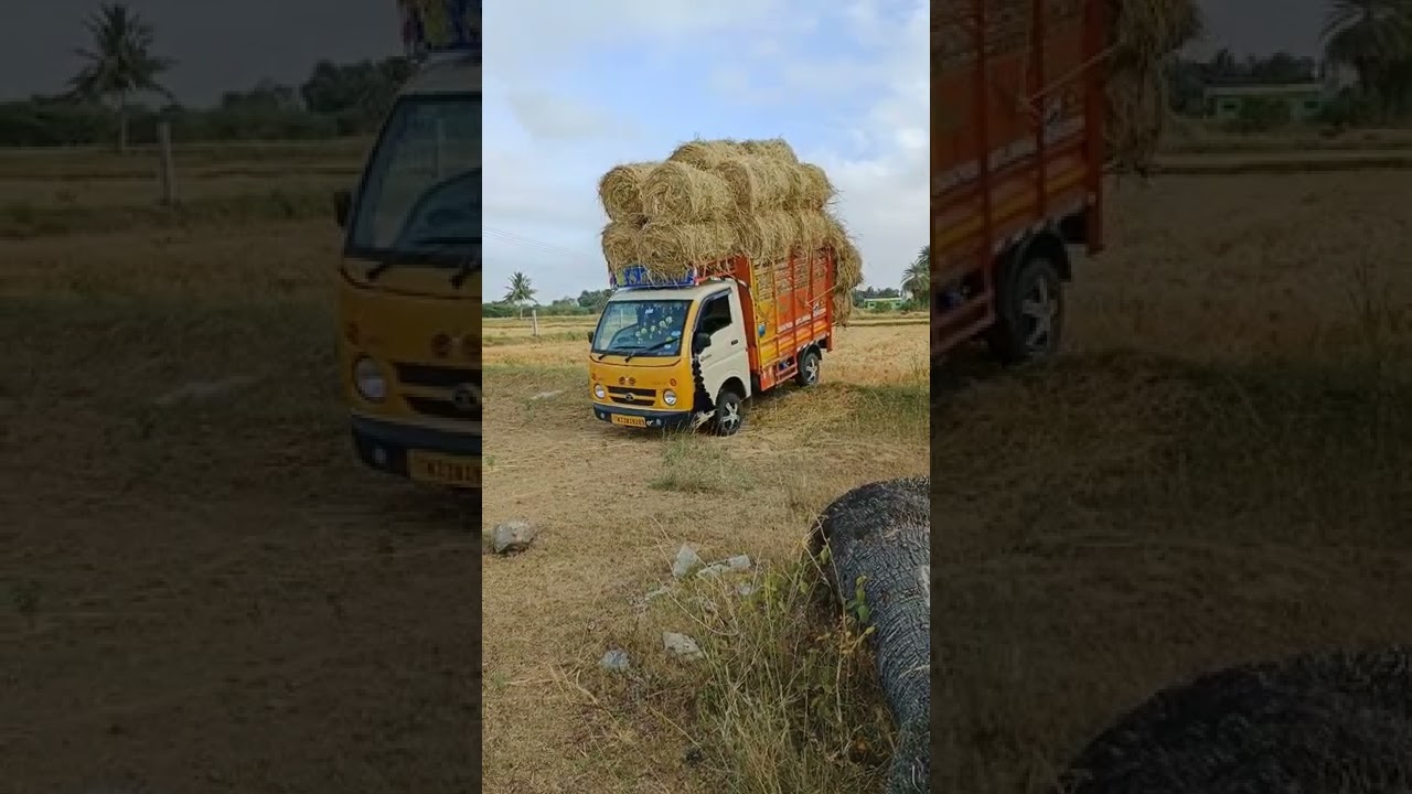 tata ace what's app status #only #driving #lovers #trending #one