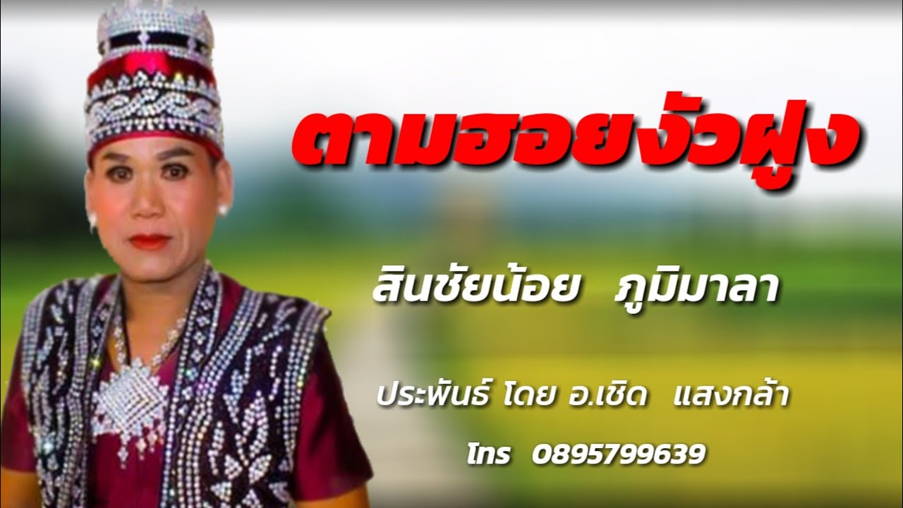 ลำล่อง ตามฮอยงัวฝูง-สินชัยน้อย  ภูมิมาลา