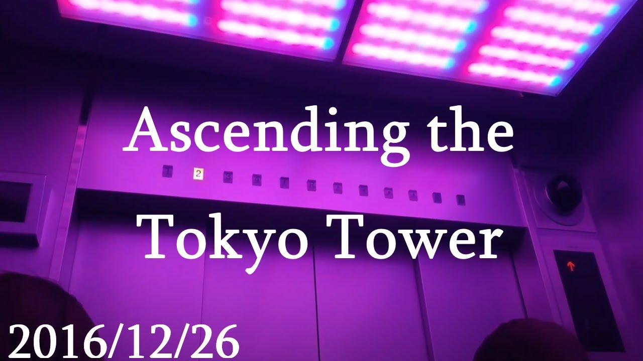 Ascending the Tokyo Tower | Tokyo, Japan 2016/12/26