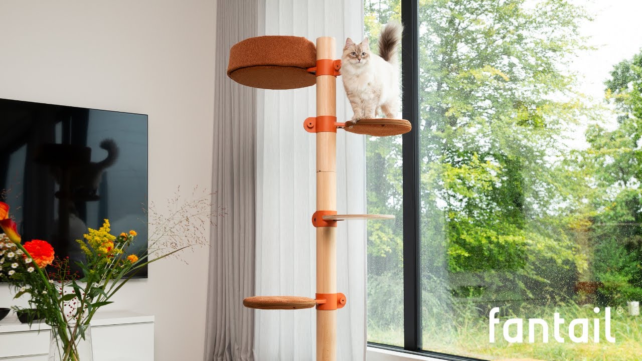 L'arbre &agrave; chat de Fantail - design fonctionnel, &eacute;l&eacute;gant et durable