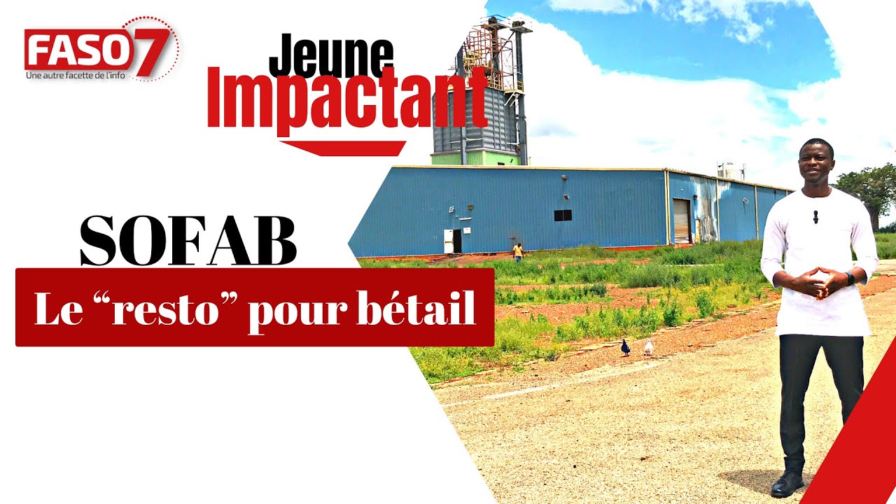 Jeune impactant │ SOFAB : Le &laquo; resto &raquo; pour b&eacute;tail