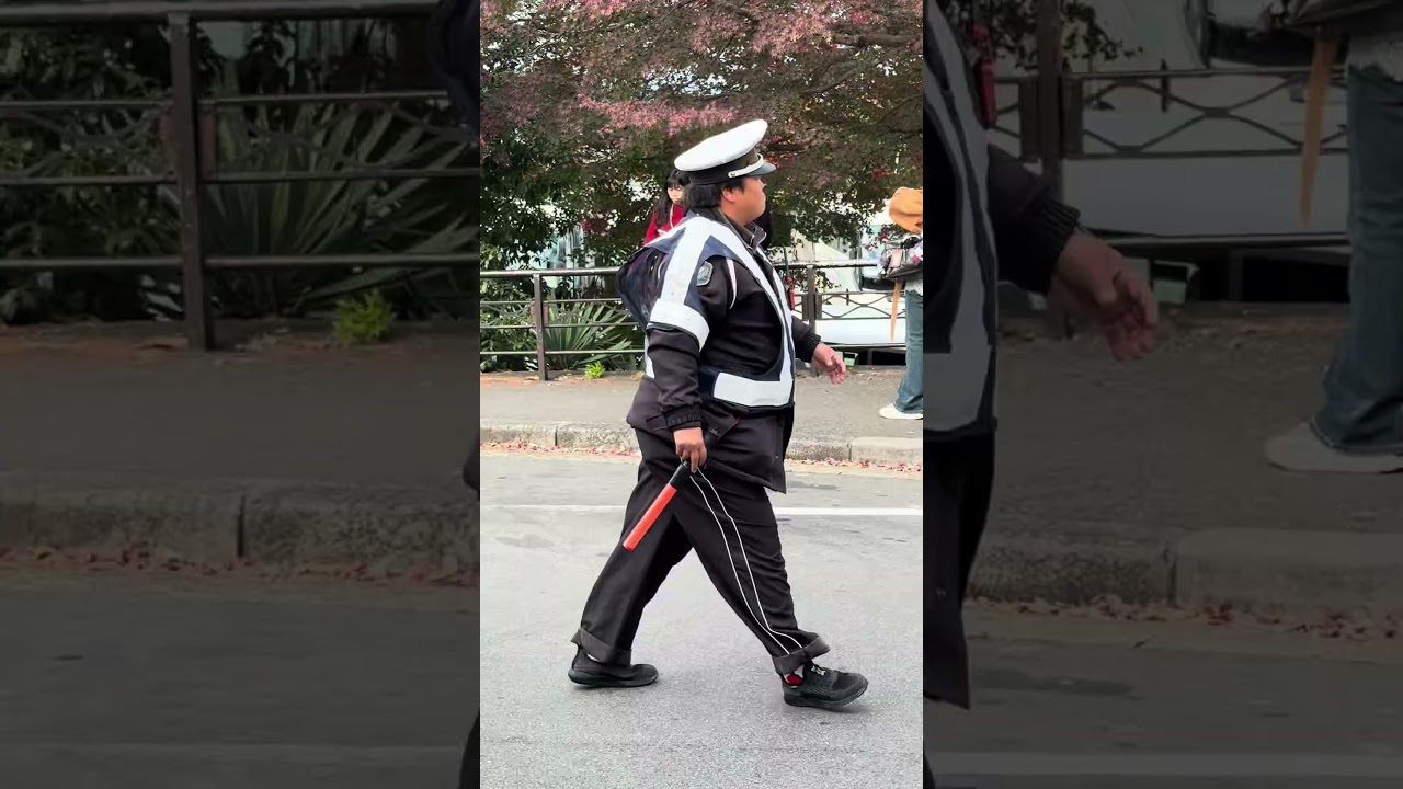 Япония, японцы , 