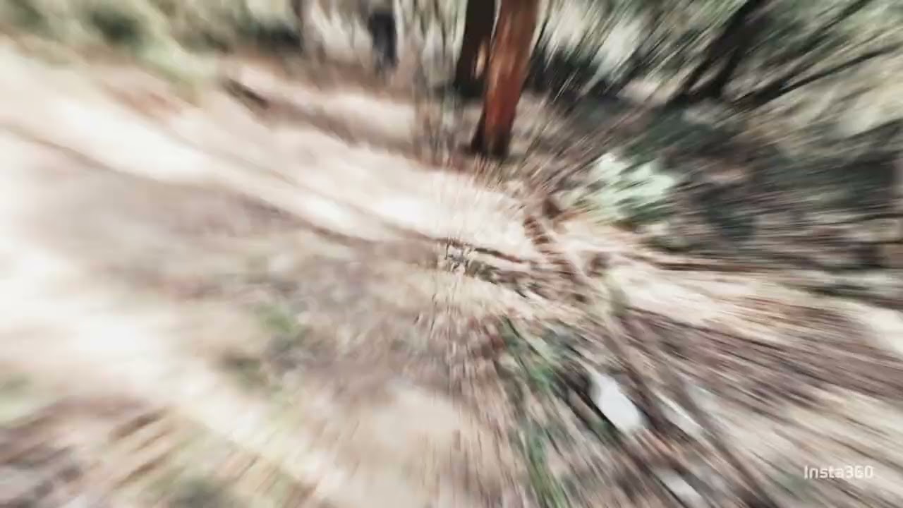 Travalle trails.