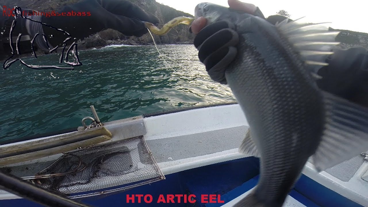 DESDE COSTA Y EMBARCACION BUSCANDO LUBINAS. PICADAS PEGADAS A TIERRA