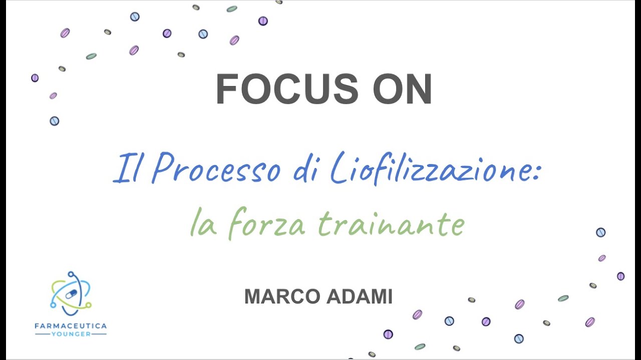 FOCUS ON 
