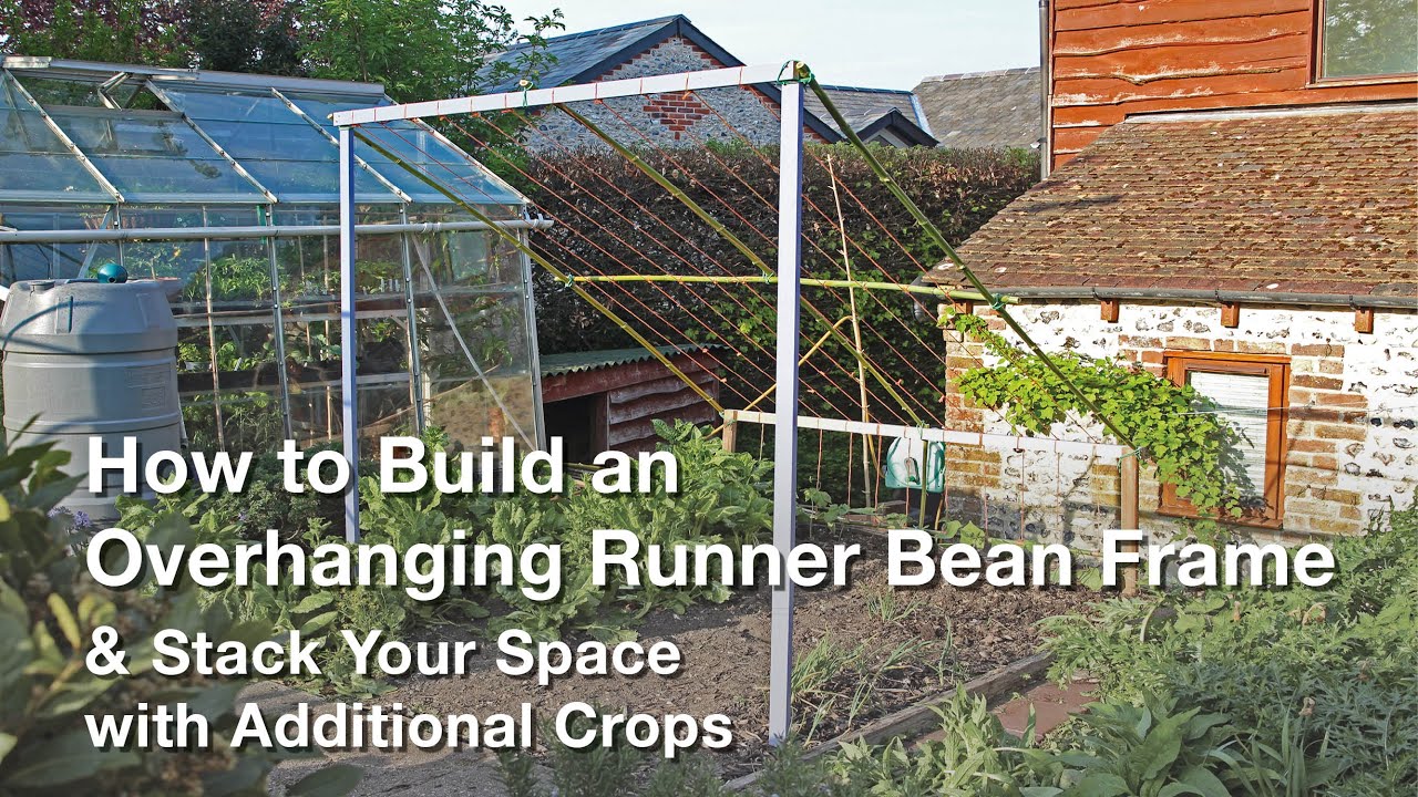 How to Build an Overhanging Runner Bean Frame | Stack your Space with Additional Crops!