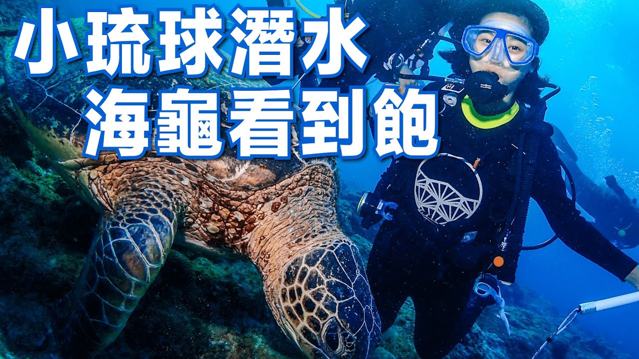 在小琉球潛水，海龜看到飽😍｜水肺潛水｜林宣 Xuan Lin