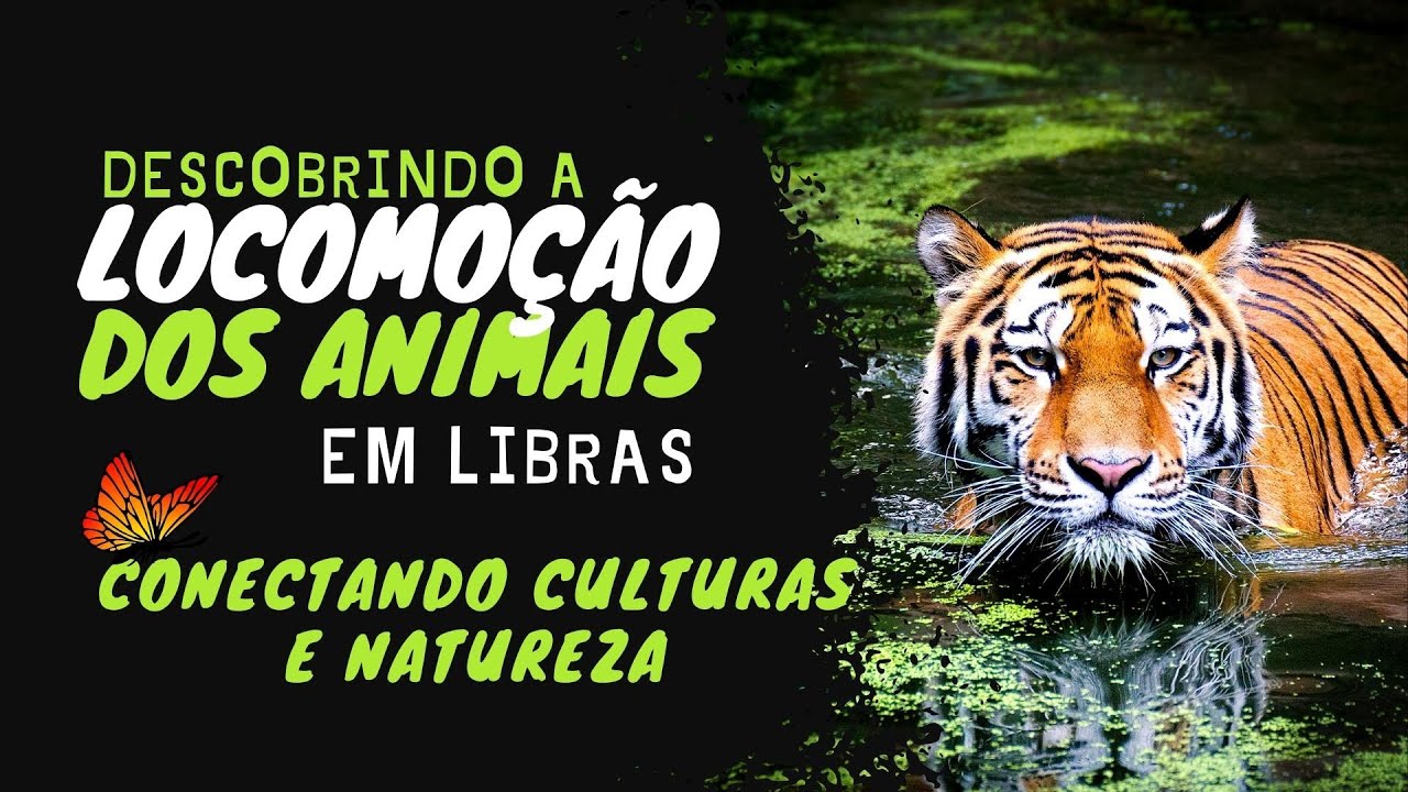 Descobrindo a Locomo&ccedil;&atilde;o dos Animais em Libras - Conectando Culturas e Natureza