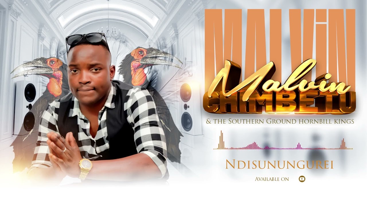Malvin Chimbetu - NDISUNUNGUREI