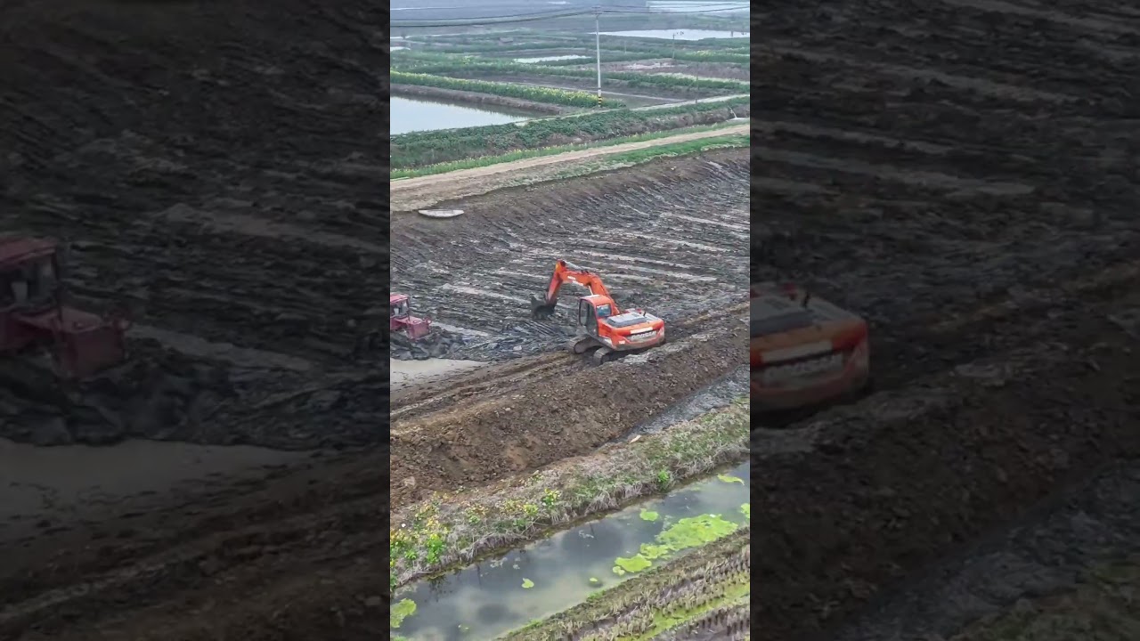 Excavator Digging Fish Pond in Farmland