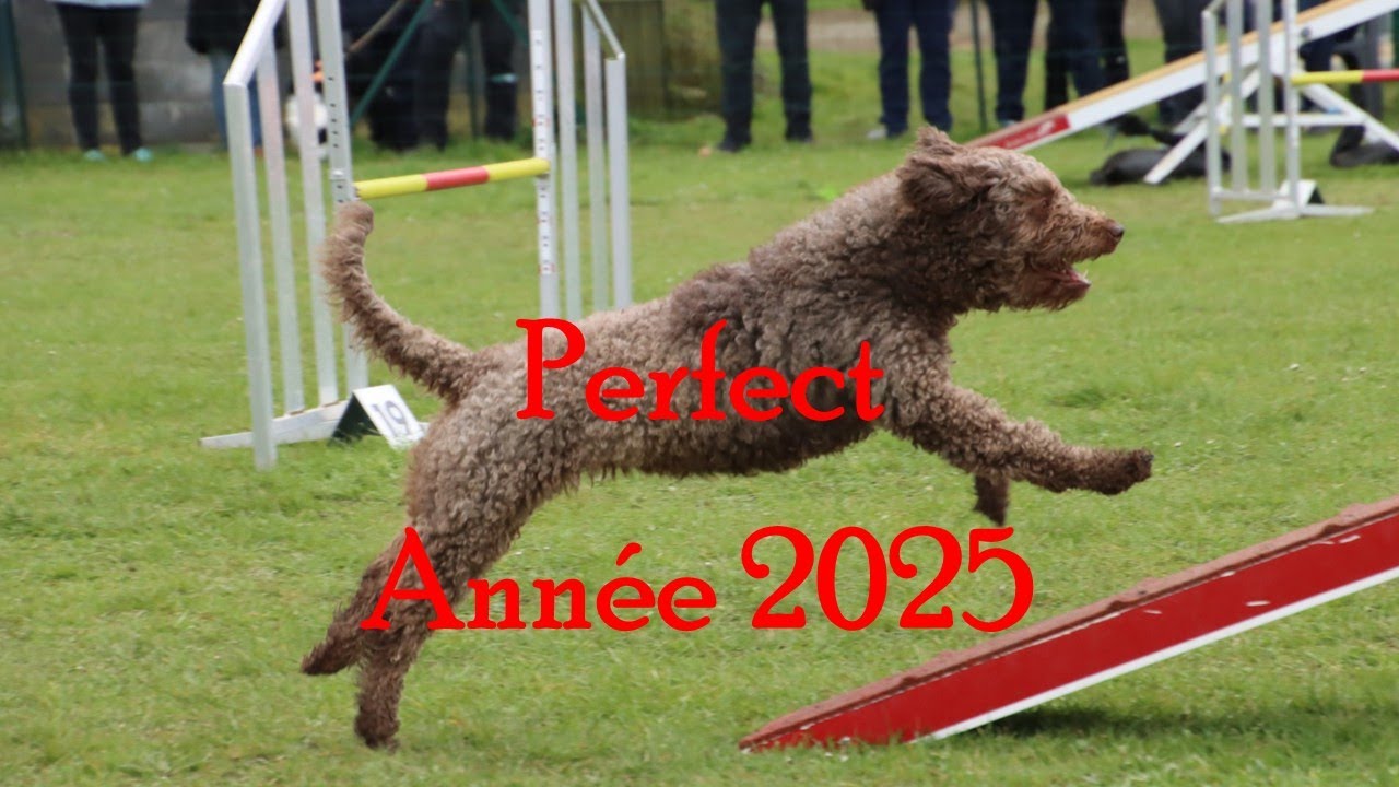 2025/12/31 Perfect année 2025