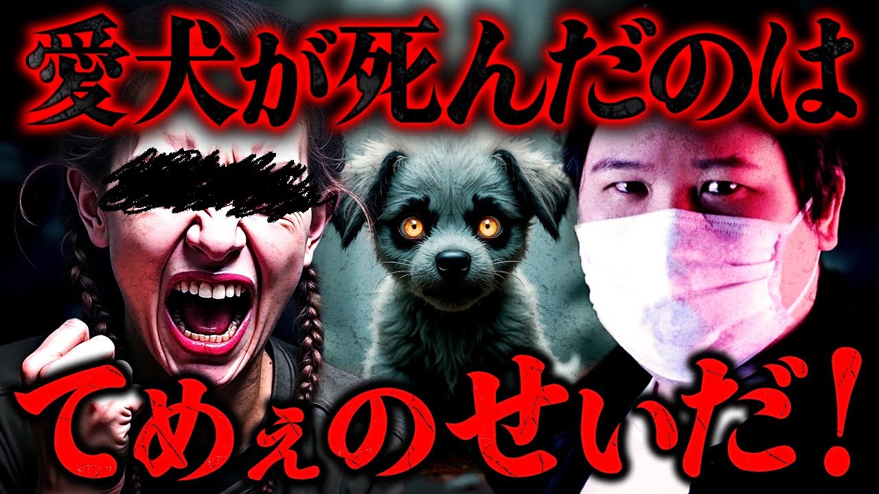 【ブチギレ】お前が全部悪い！愛犬の死を全て人のせいにしたがる粘着おばさんと大喧嘩 #コレコレ切り抜き　#ツイキャス