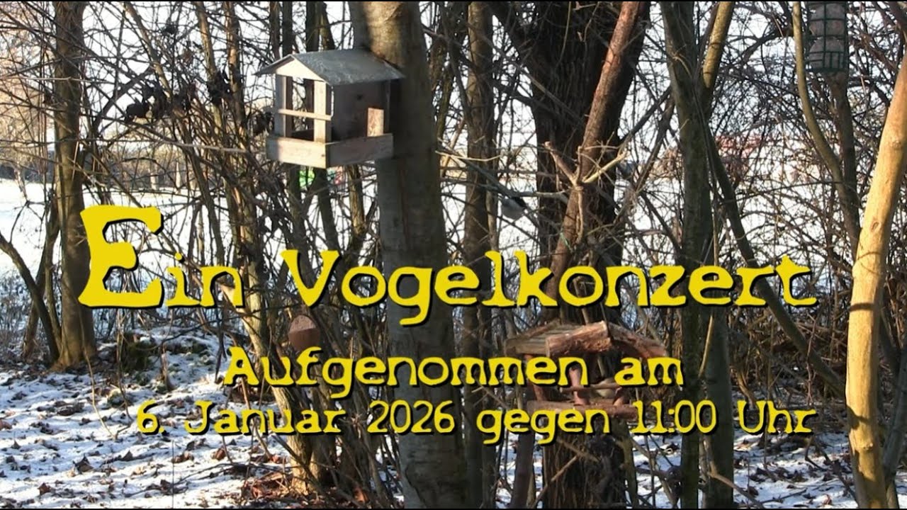 Vogelkonzert  6.1.2026