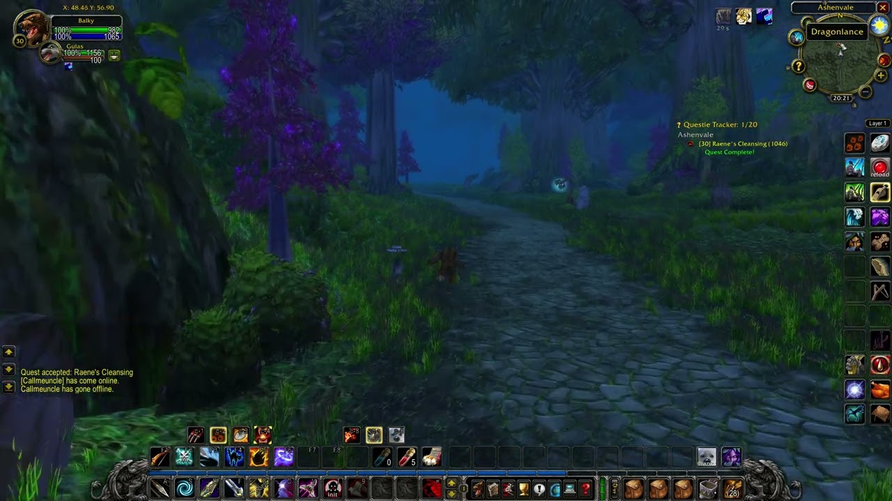 Raene's Cleansing (WOW classic quest)