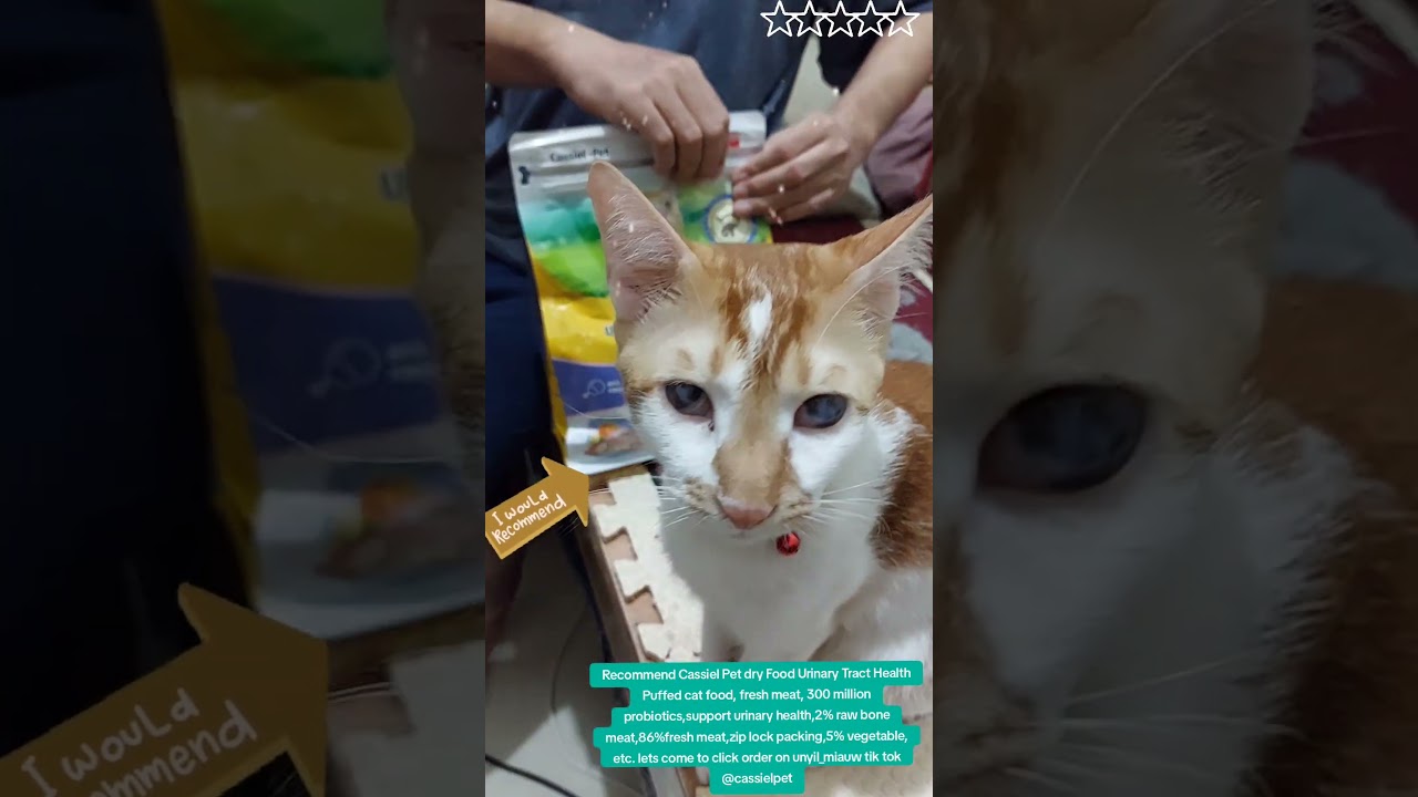 Cassiel Cat Food Urinary — Makanan Kucing untuk Kesehatan Saluran Kemih!