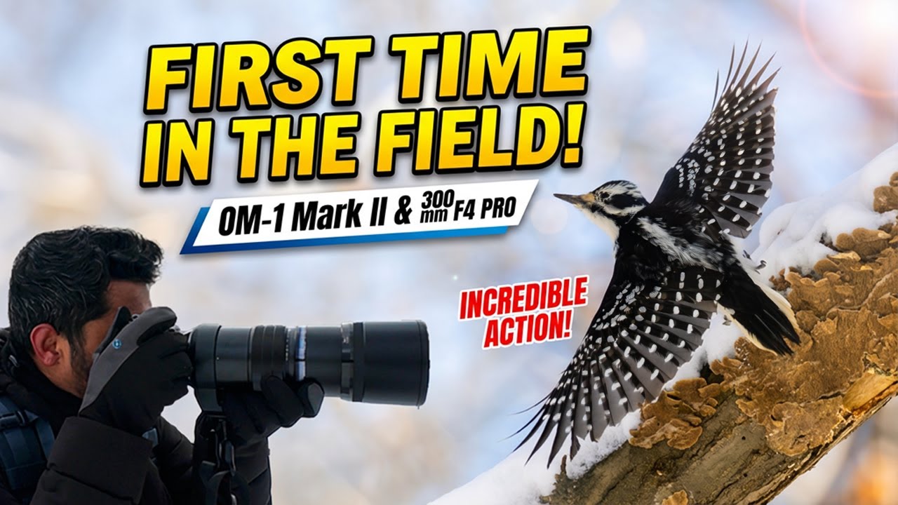 First Outing with the OM-1 Mark II & 300mm F4.0 IS PRO — Let’s See What It Can Do