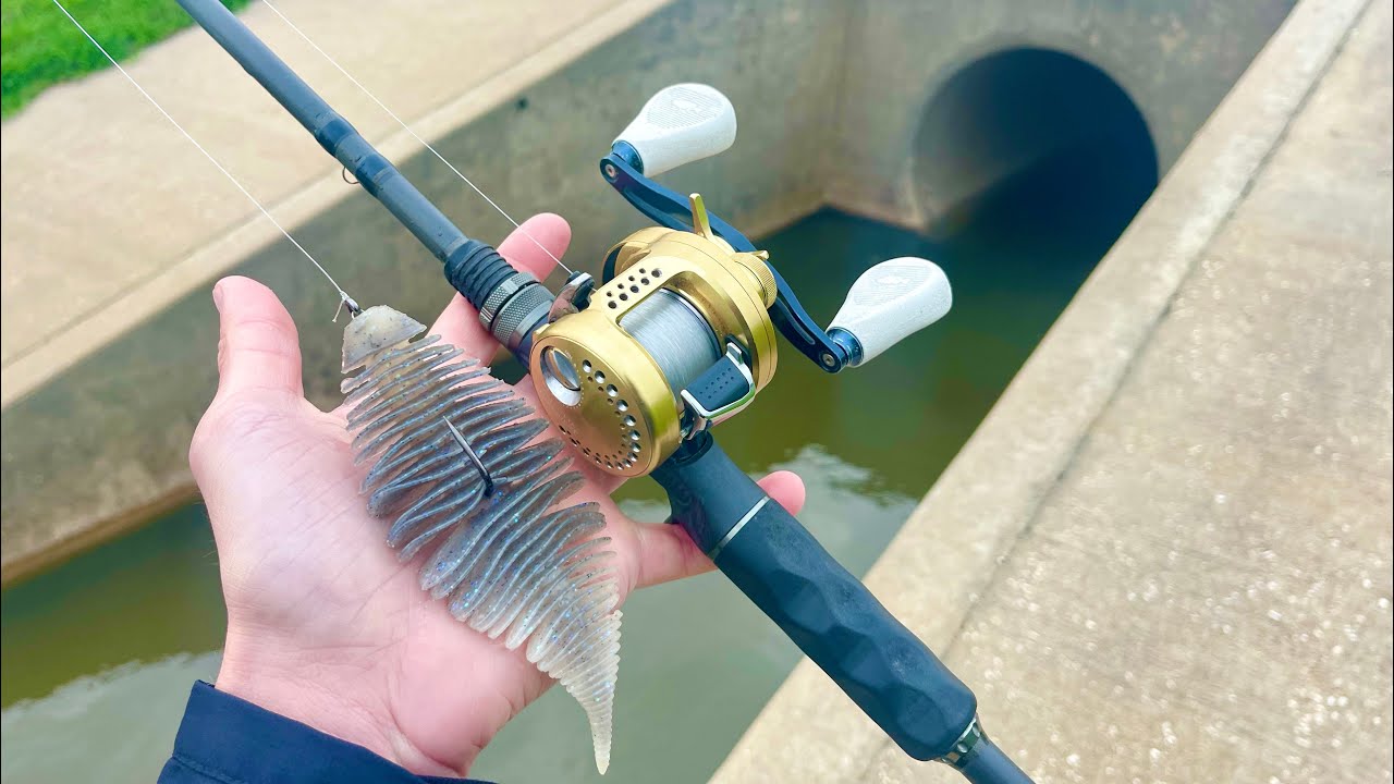 This Is The CRAZIEST Way I've Ever Caught A Fish! (Feat. @TyPigPatrol )