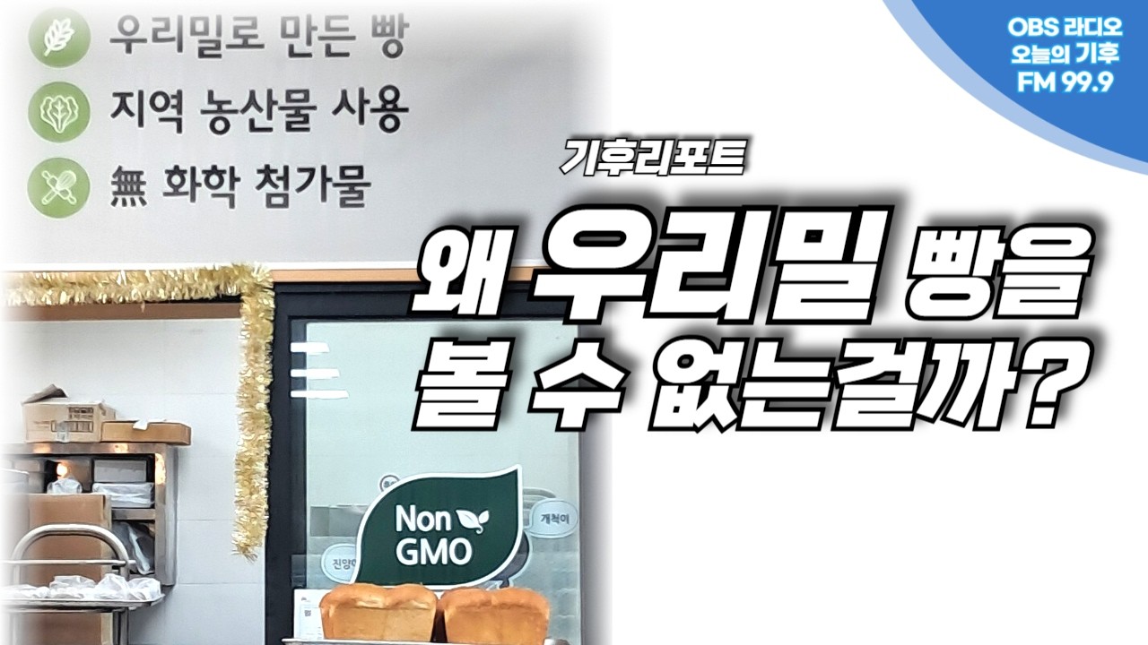 노피디의 질문...왜  우리밀 빵을 볼 수 없는걸까?