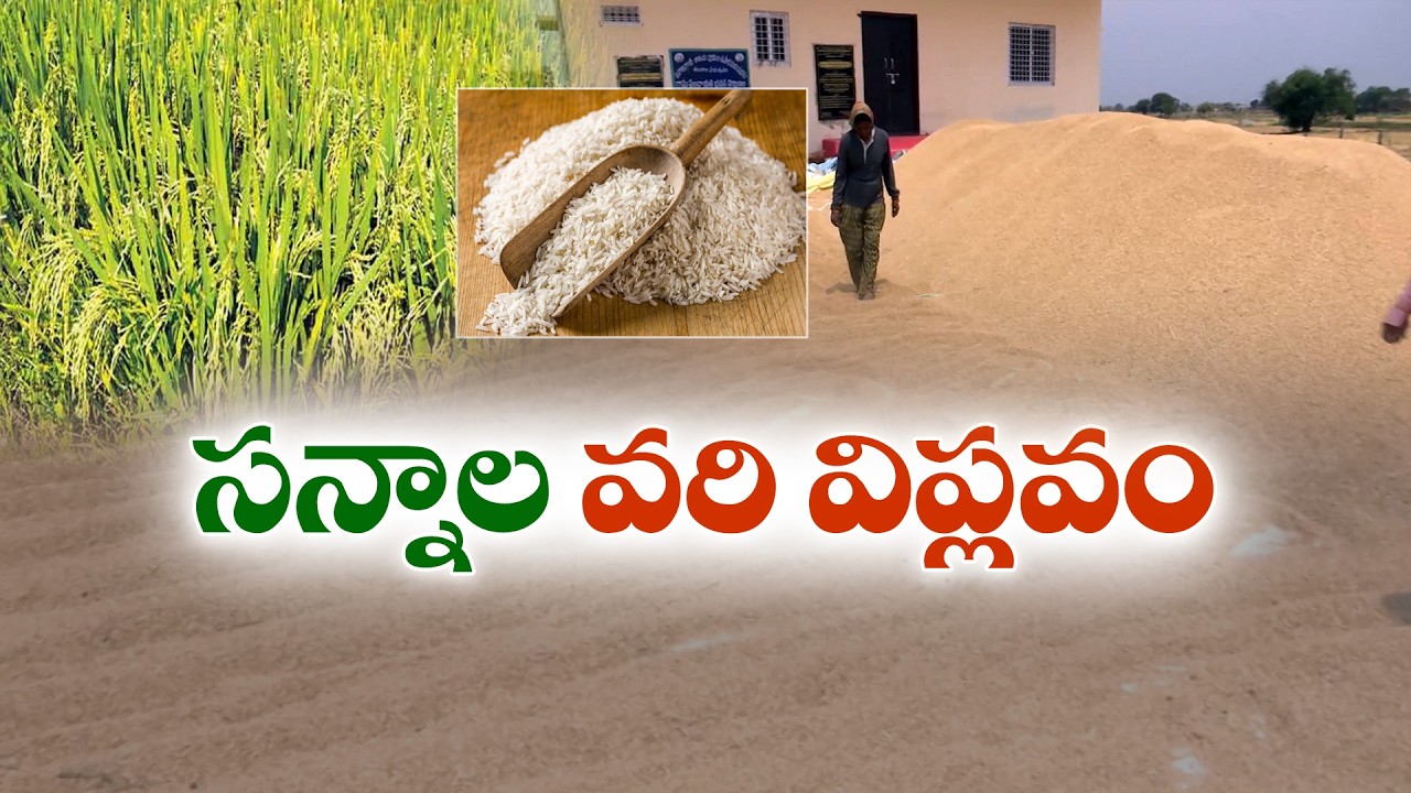 Govt Focus on Organized Paddy Farming | Major Agri Reform | సన్నాల వరి విప్లవం