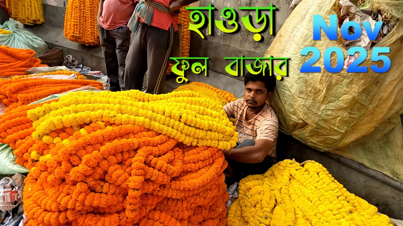 হাওড়া ফুলের পাইকারি বাজার নভেম্বর 2025 | কম দামে গাঁদা, গোলাপ, রজনীগন্ধা | Wholesale Flower Market