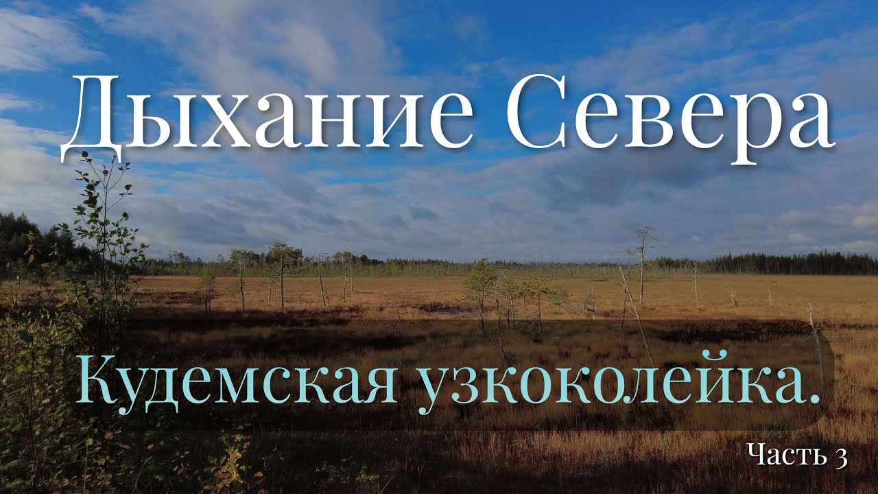 🌲 Осенний путь по самой красивой Кудемской узкоколейке в мире!! На велосипеде.