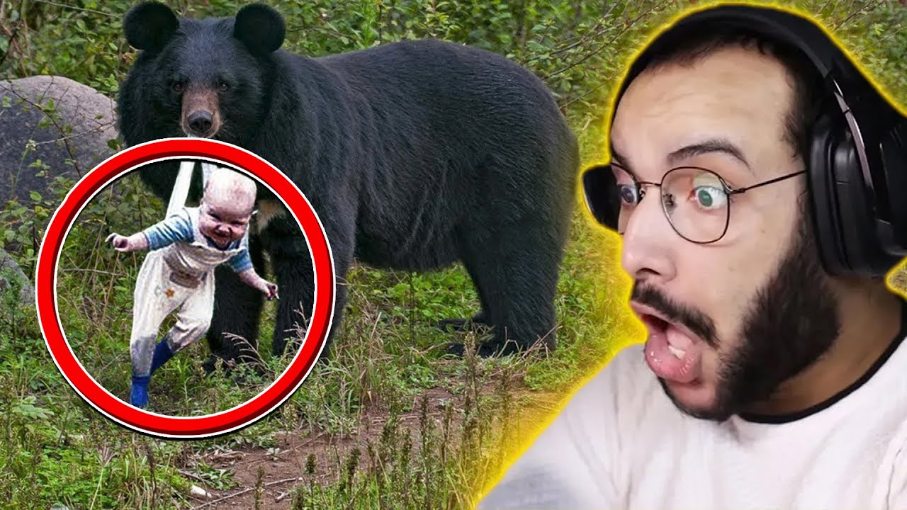 حيوانات مفترسة تصرفت بطريقة لا تصدق ولطيفة | رد فعلهم مدهش 😮😬💔!!