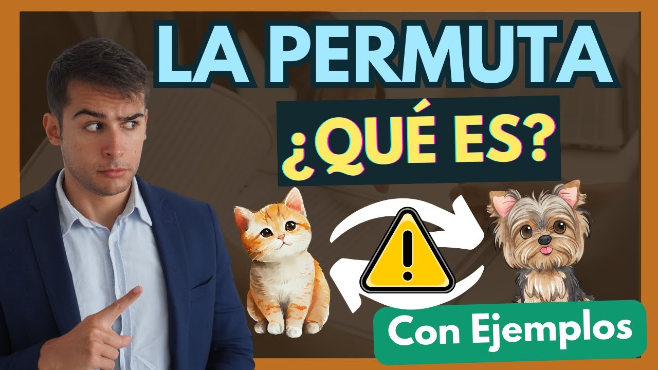 🔵 Descubre qué es el CONTRATO de PERMUTA en solo 8 minutos 【Con EJEMPLOS】