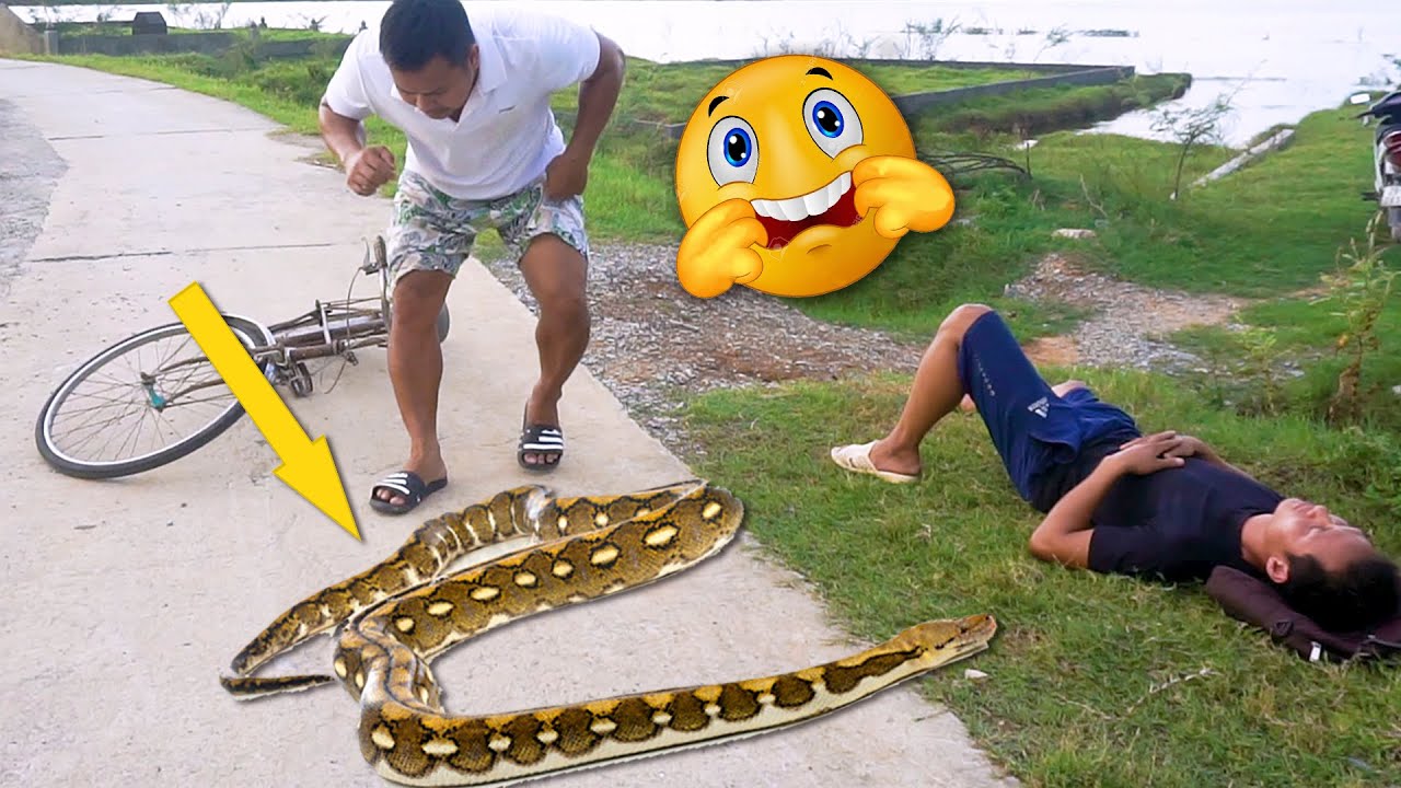 Must watch New Funny Videos 😂 Comedy Videos 2020 || LoL Troll - Episode 13