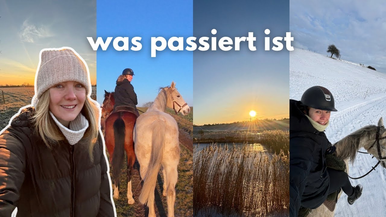 Was bei uns bisher passiert ist ❄️