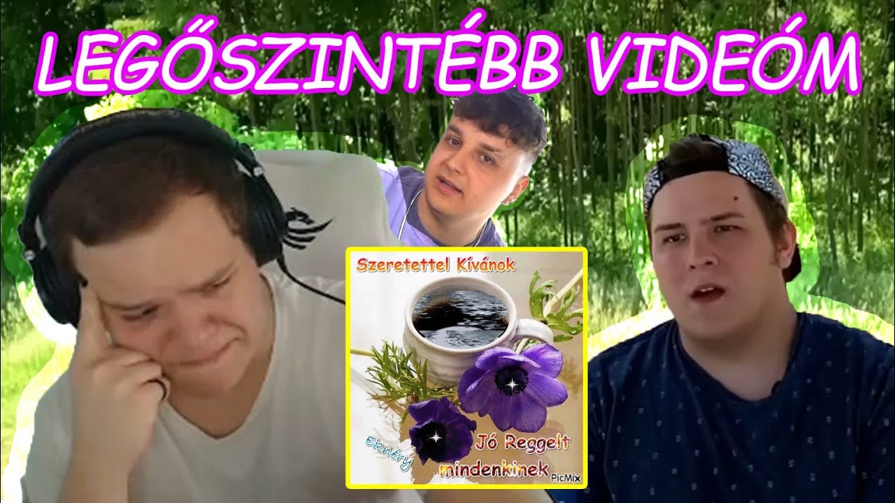 DAZIS VISSZAT&Eacute;RT (OSZTVA TOLNA MEGYE &Eacute;S K&Ouml;RNY&Eacute;KE)