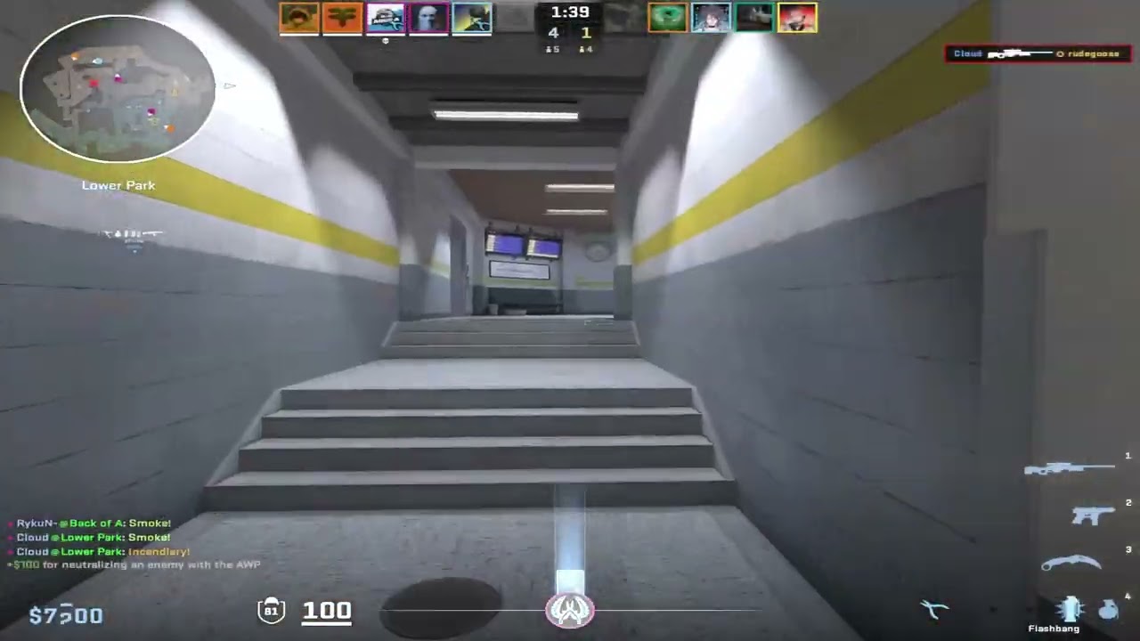CS2 Highlights #3