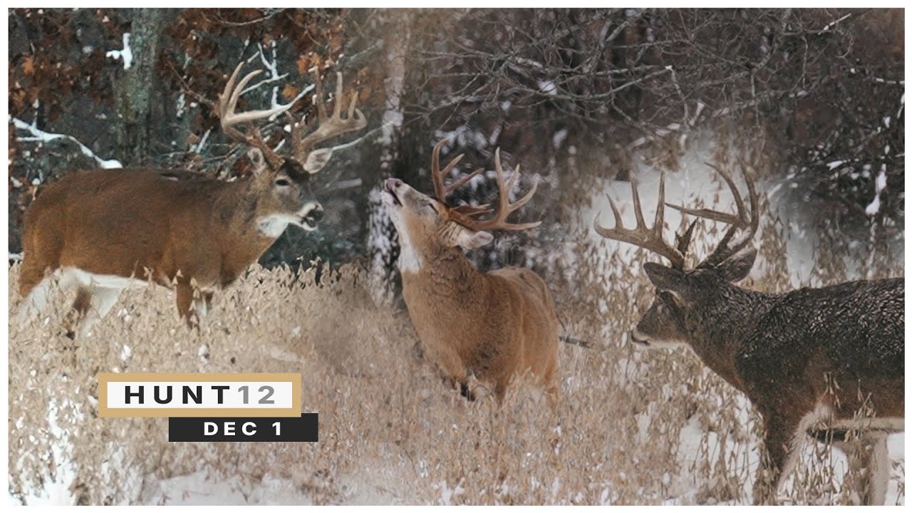 Bowhunting The Final Days Before Firearm Season