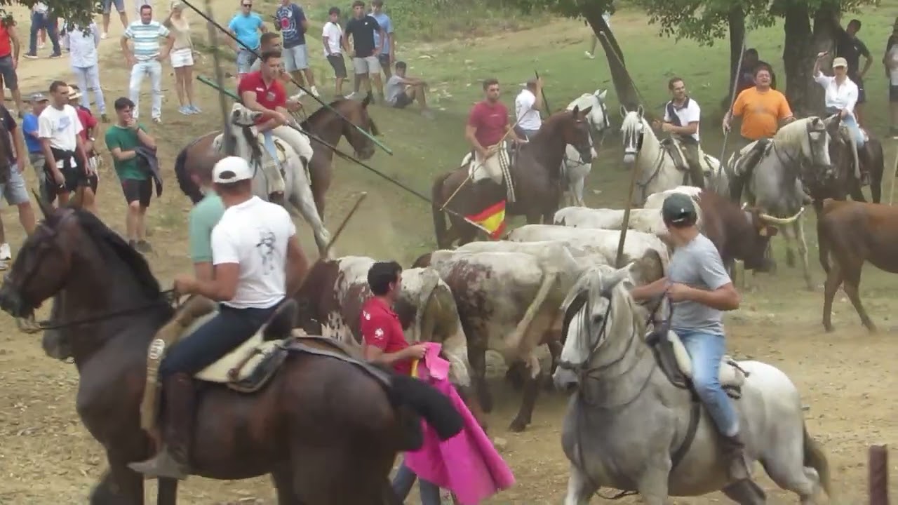 ENCIERRO DE VILLARUBIAS A CABALLO 2025