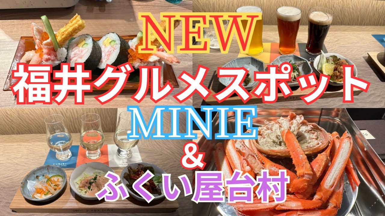 【恐竜王国へ行こう！】話題沸騰！フードホールMINIE&ふくい屋台村「飲み歩き」✨新幹線・恐竜・乾杯🍻