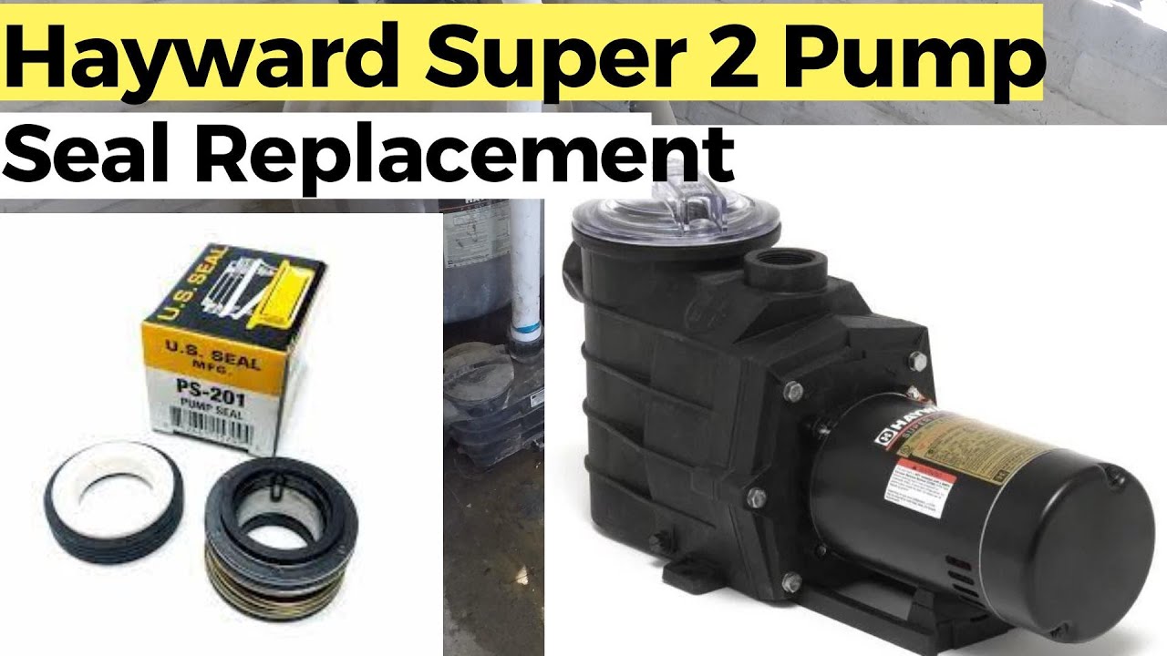 Pool Pump Seal Replacement !