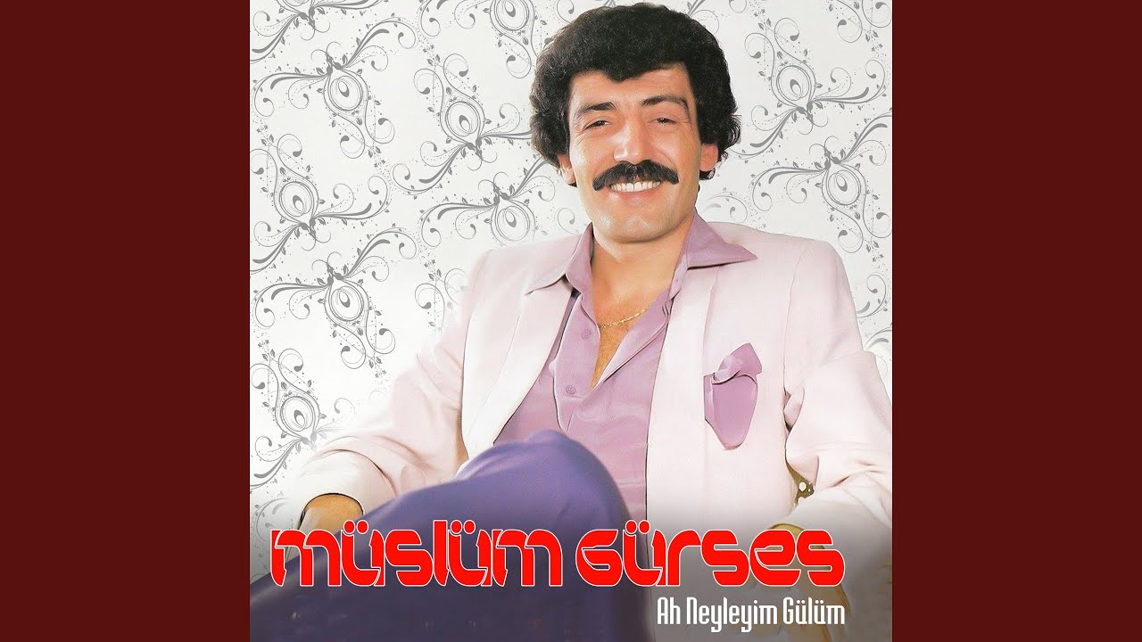 Ah Neyleyim G&uuml;l&uuml;m