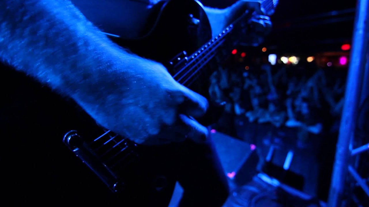 The Color Morale - Steadfast (Live Video)