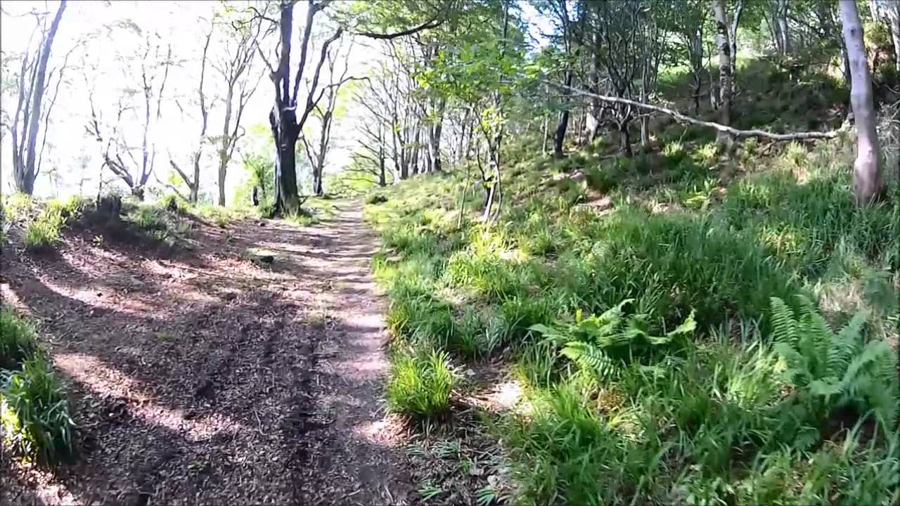 Oban Local Trails! The Witches Trail (Dunollie Woods)