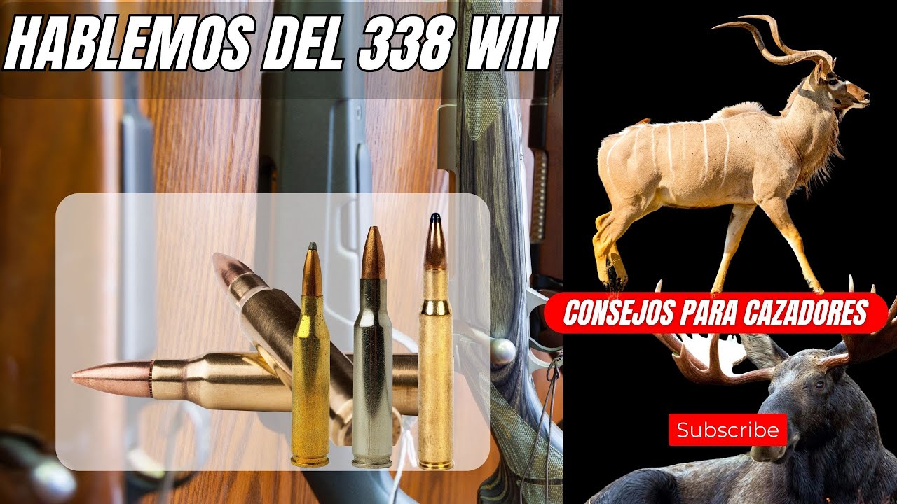 Hablemos del 338 WIN MAG
