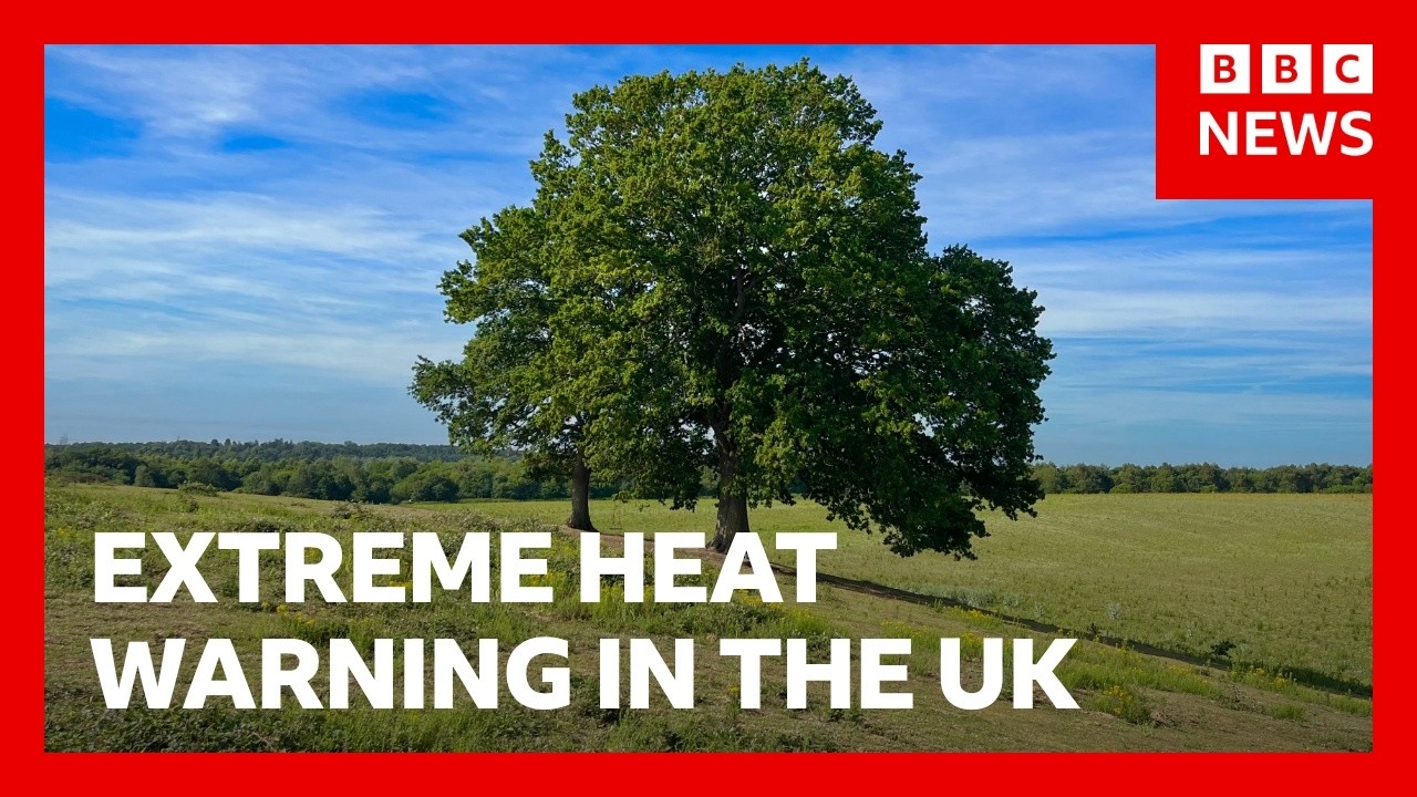 Four-day extreme heat warning begins in the UK | BBC News