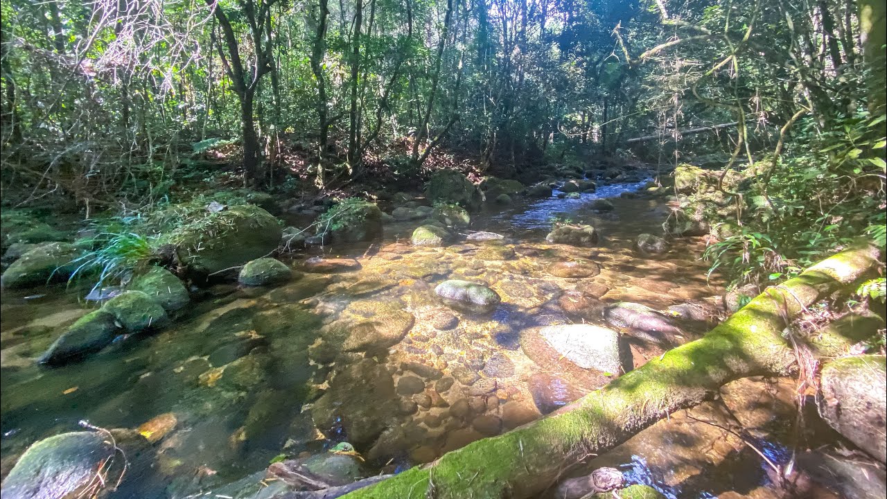 Sítio a venda com Rio em Teresópolis