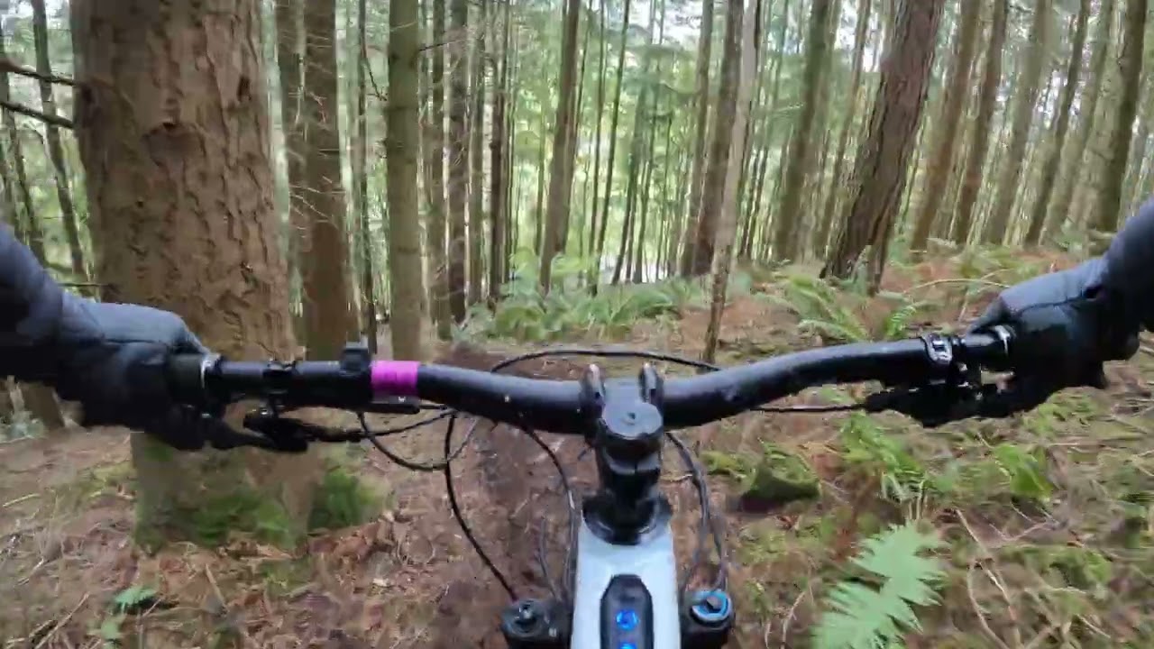 Crash Test Dummies mtb at Bucknall what a laugh with the guys #mtb #fullsendordontsend #downhill 
