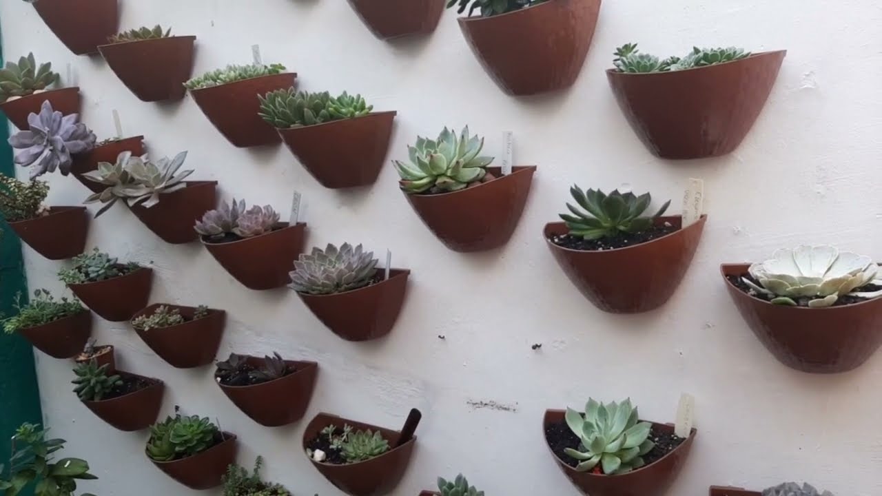 Como coloco meus vasos meia lua no meu jardim vertical?  vem que te ensino! #suculentas #jardim