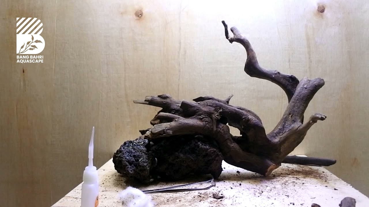 Cara Membuat Project 02 || Hardscape Keren || Medium Tank