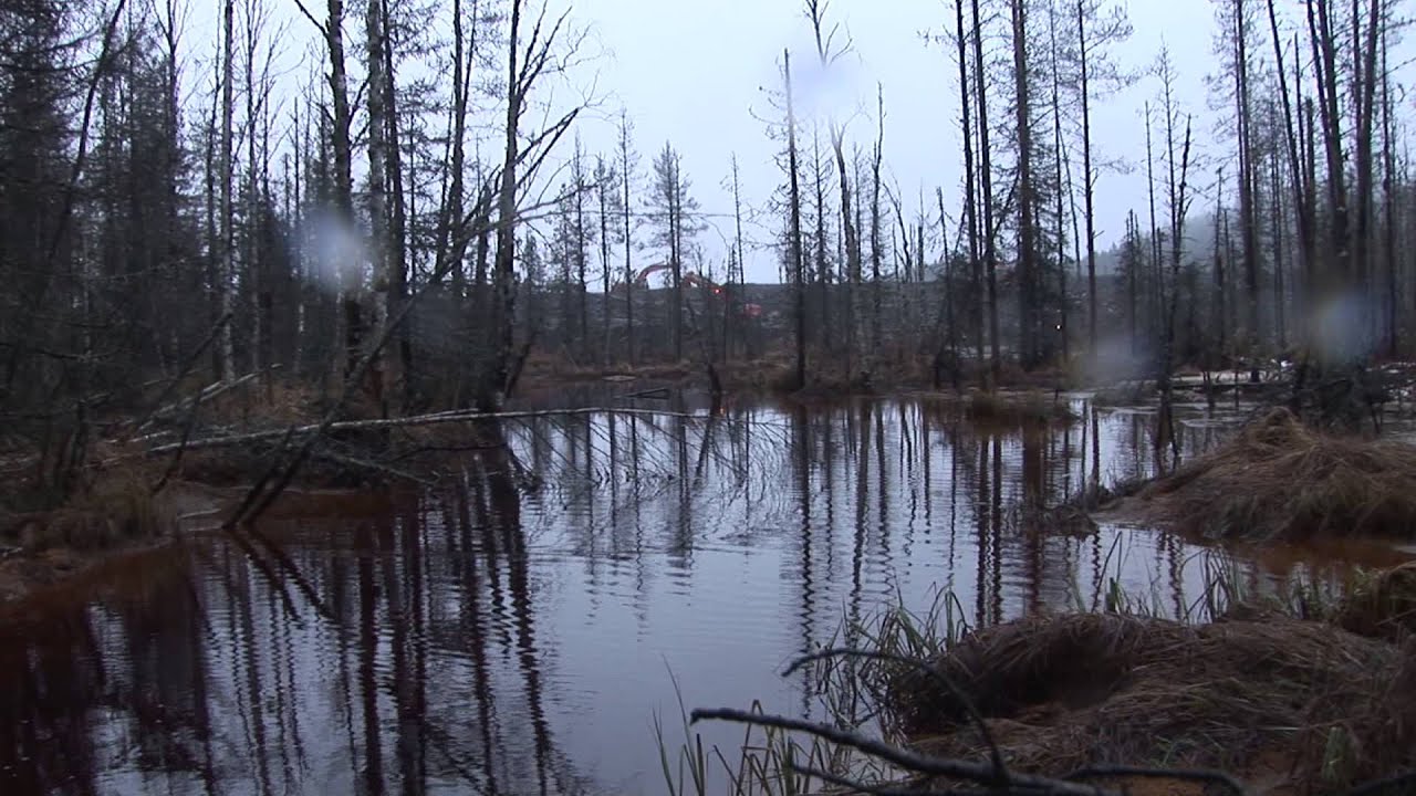 Salattu patovuoto