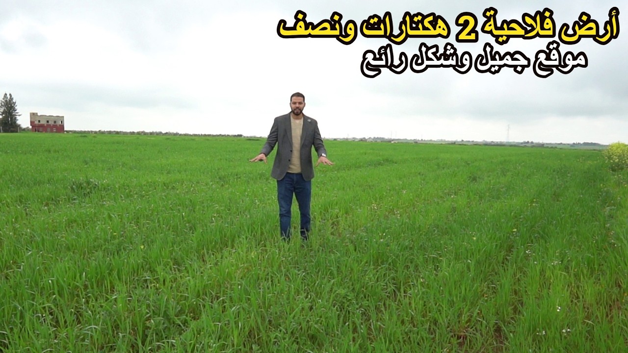 ✨ أرض فلاحية 2 هكتارات ونصف بمكان رائع وشكل جميل قرب الجيران✨ تيفلت