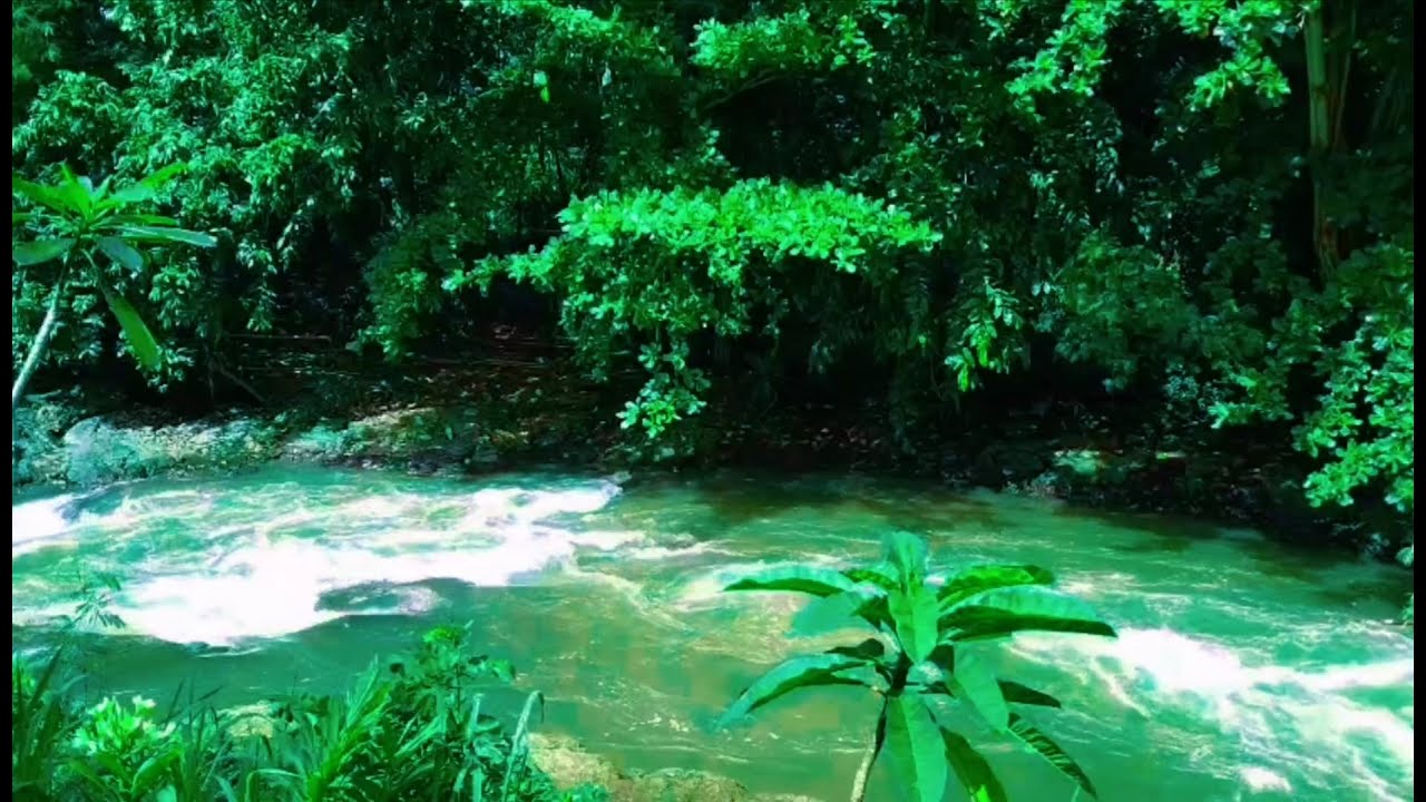 Soothing Water Flowing Ambience for Sleep and Deep Relaxation