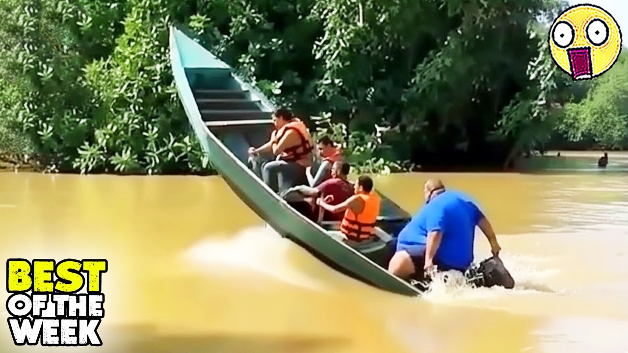 Try Not to Laugh Challenge #19 |🤣 Best Fails of the week