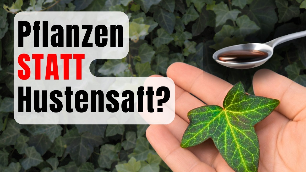 Natürlicher Hustensaft? Diese Pflanzen werden wirklich genutzt